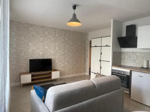 een woonkamer met een bank en een tv bij Au calme proche centre-ville, studio rénové avec équipements neufs et parking privé in Gap