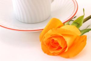 a yellow rose next to a plate and a cup at Hilton Garden Inn Baltimore Inner Harbor in Baltimore