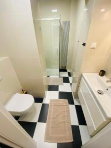 ein Bad mit einem WC, einem Waschbecken und einer Dusche in der Unterkunft Apartament Pod Lipami in Olsztyn