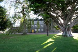 a large building with a large tree in the grass at Killiane Castle Country House & Farm in Wexford