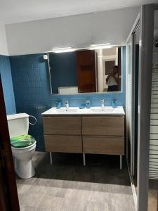 La salle de bains est pourvue de toilettes, d'un lavabo et d'un miroir. dans l'établissement Kaza Ohana proche de Malendure - maison 8 à 11 personnes, à Bouillante