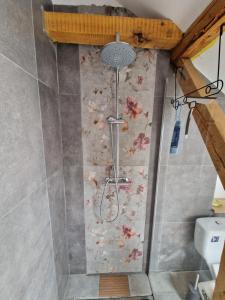 a shower in a bathroom with a floral wallpaper at Casa Ileana 