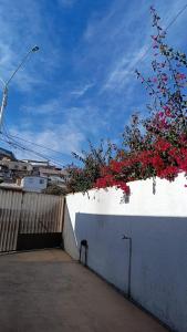 une plante avec des fleurs rouges au-dessus d'un mur dans l'établissement Residencial familiar El Valle, à Copiapó