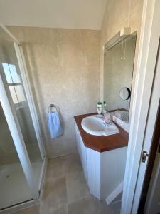 a bathroom with a sink and a shower and a mirror at Faithlegg Estate, Mews Holiday Home, Waterford in Waterford