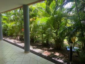 un patio con palmeras en un edificio en Le 63*, en La Trinité