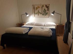 מיטה או מיטות בחדר ב-Villa i naturskönt läge Järvsö