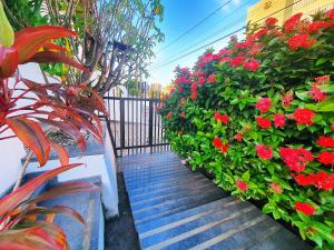 a garden with red flowers and a wooden pathway at Mansão Casa Mais in Aracaju