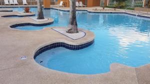 a swimming pool with blue water and palm trees at Casa Elegante cerca aeropuerto y zona turistica in Canovanas