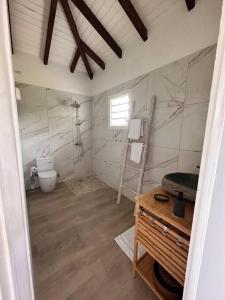 bagno con servizi igienici e lavandino di gîte de forêt de Guadeloupe a Petit-Bourg