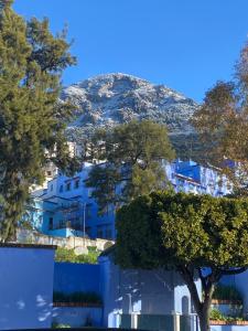 a blue building with a mountain in the background at Joli studio de charme à chaouen in Chefchaouene