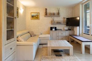 a living room with a couch and a tv at Apartma Krvavec - cosy mountain retreat in Cerklje na Gorenjskem
