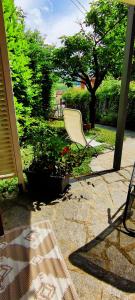 a chair sitting on a patio next to some plants at Le rose di Mapi in Mango