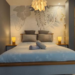 a bedroom with a bed with a blue towel on it at Superbe cosy T1 Bis Studio 40m2 indépendant en maison avec parking gratuit in Caluire-et-Cuire