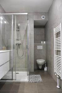 ein Bad mit einer Dusche und einem WC in der Unterkunft Magnifique T2 proche gare in Rueil-Malmaison