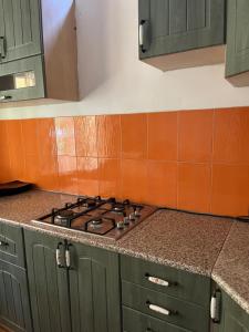 a stove top in a kitchen with green cabinets at Guest House Lulu in Barisakho