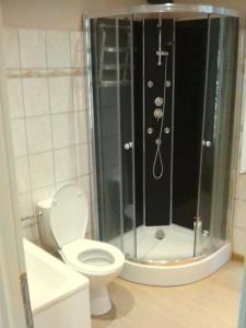 ein Bad mit einem WC und einer Dusche in der Unterkunft 2+1 couchages + sdb dans appartement rénové. in Caunes-Minervois