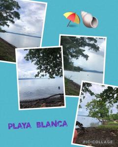 Billede fra billedgalleriet på La Mochis i Puerto Jiménez