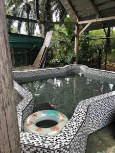 Billede fra billedgalleriet på La Mochis i Puerto Jiménez