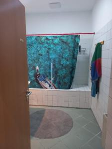 維也納的住宿－Hostel Wieden，浴室设有窗户,浴缸内有一条船