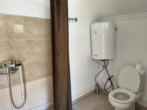 W łazience znajduje się prysznic i toaleta. w obiekcie Guest House Lulu w mieście Barisakho