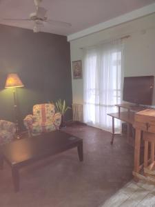 TV a/nebo společenská místnost v ubytování AMPLIO DEPARTAMENTO FRENTE AL RIO