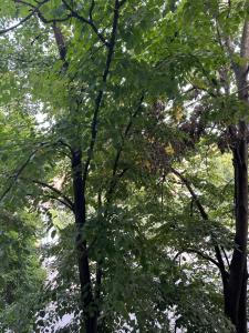 Gallery image of White M in Karaburma