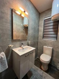 a bathroom with a sink and a toilet and a mirror at Timeless Elegance: Vintage 3-Bedroom Apartment 