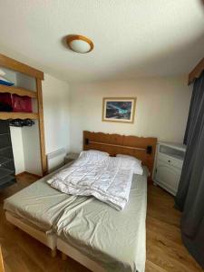 Postel nebo postele na pokoji v ubytování Chamrousse a 50m des pistes appart 4/6