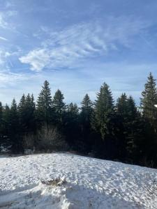 Příroda nedaleko apartmánu + 3 fotografie