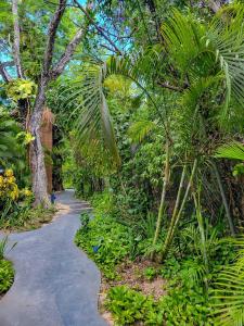 un sentiero attraverso un giardino con palme di Maui Hostels Tulum a Tulum