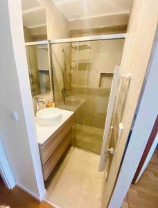 La salle de bains est pourvue de toilettes, d'un lavabo et d'une douche. dans l'établissement Penthouse 2 bedrooms in Center- 51, à Luxembourg