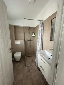 a bathroom with a shower and a toilet and a sink at Hotel Lavanda in Piteasca +14 photos