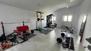 a gym with several exercise equipment in a room at Hotel Lavanda in Piteasca
