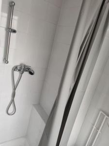 y baño con ducha y cortina de ducha. en Expérience urbaine en Aubervilliers
