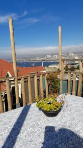 Fotografie z fotogalerie ubytování Casa Fibonacci v destinaci Valparaíso