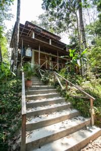 eine Treppe, die zu einem Haus führt in der Unterkunft Colores de la Sierra in Minca