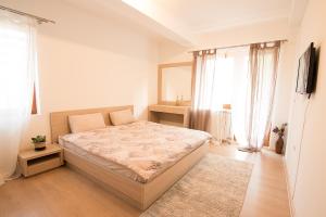 een slaapkamer met een bed en een groot raam bij Antigona Apartments in Skopje