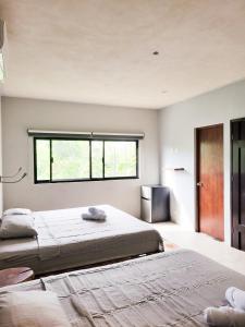 a bedroom with two beds and a window at Maui Hostels Tulum in Tulum