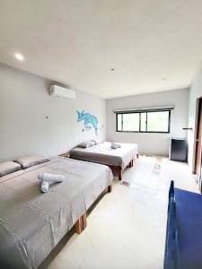 Maui Hostels Tulum客房内的一张或多张床位