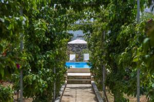 The swimming pool at or close to B&B Don Alessandro