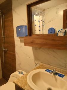 een badkamer met een wastafel, een toilet en een spiegel bij La casa de Almicar Departamento 3 in Juivi