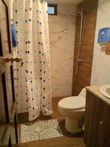 een badkamer met een douchegordijn en een toilet bij La casa de Almicar Departamento 3 in Juivi