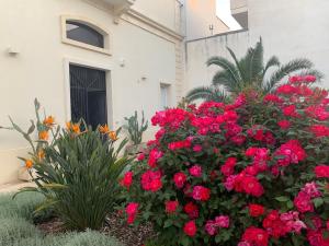 A garden outside B&B Don Alessandro