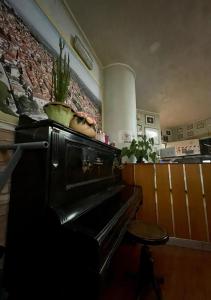 a piano in a kitchen with a plant on top of it at Hotel La Pergola in Rionero in Vulture