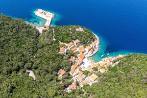 an aerial view of a small island in the ocean at Double Room Lucica 990a in Lastovo