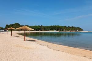 plaża z parasolami i wodą w obiekcie Apartment Novalja 13006c w Novalji