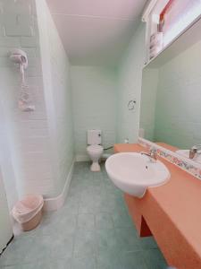 a bathroom with a white sink and a toilet at Gloucester Motel Pemberton Manjimup in Pemberton
