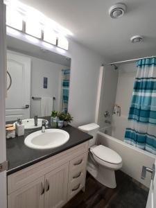Well furnished 1 Bedroom Basement Suite في وينيبيغ: حمام مع حوض ومرحاض ومرآة