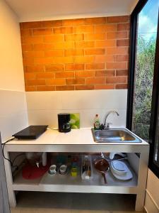 a small kitchen with a sink and a brick wall at Studio Suite Campestre con Jacuzzi in Buga