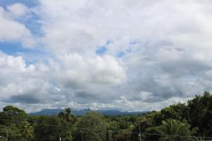 Gallery image of Hotel San Carlos Beach . in San Carlos